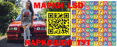 гидропоника Берёзовский