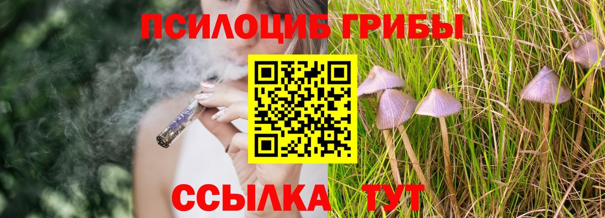 Псилоцибиновые грибы Cubensis Воркута
