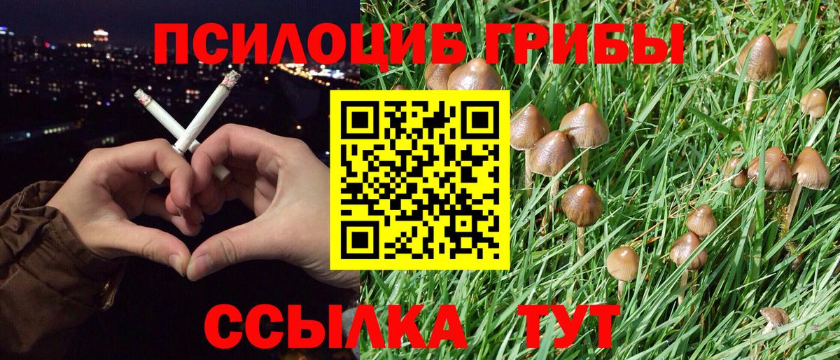 Воркута  Псилоцибиновые грибы Magic Shrooms  Вход с VPN  Псилоцибиновые грибы Magic Shrooms 